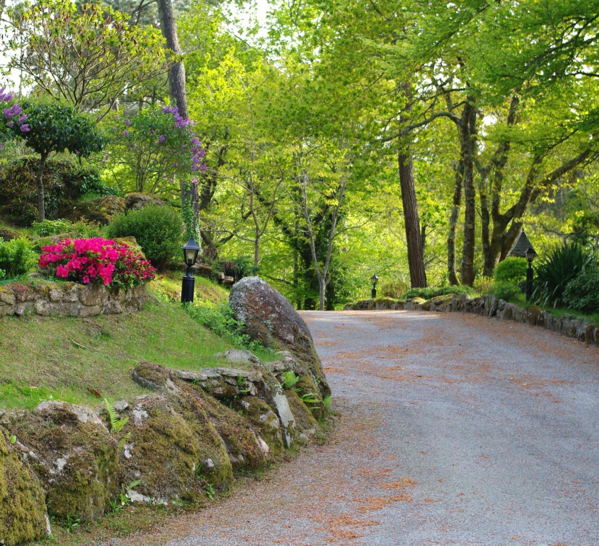 Manoir De Kertalg 호텔 Moëlan-sur-Mer 외부 사진