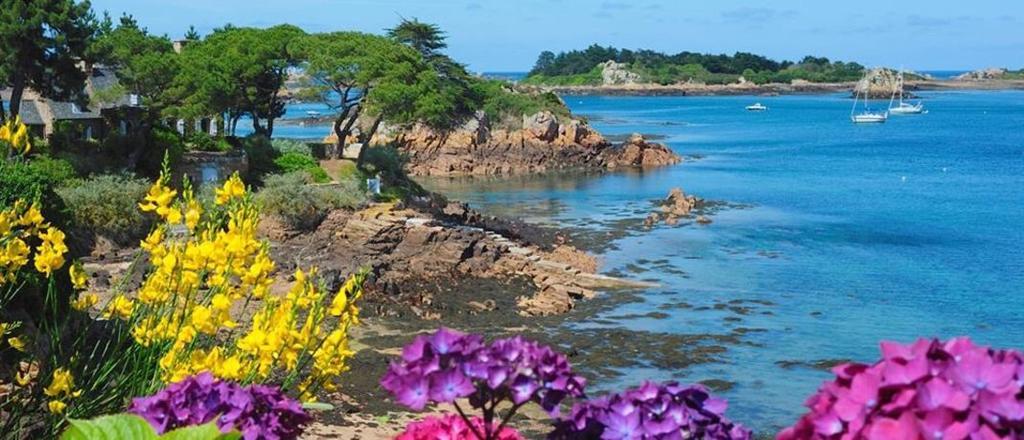 Manoir De Kertalg 호텔 Moëlan-sur-Mer 외부 사진